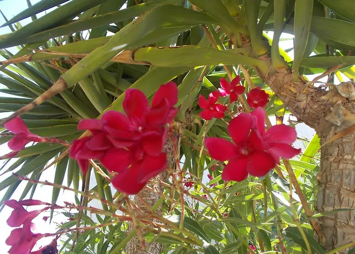 Lägenhetshotell Astoria 5*